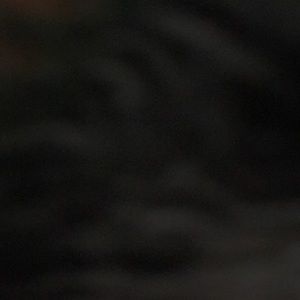 Meet your Posher, Hemal